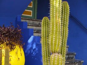 St Laurent Garden, Marrakech